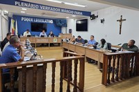 Câmara aprova projetos em defesa da mulher e do meio ambiente