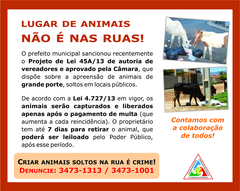 Lei de apreensão de animais entra em vigor